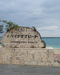 Painagama beach Image